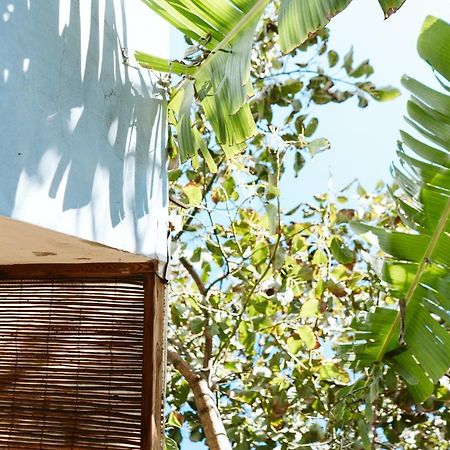 Вилла Tortuga Blue House In Banana Plantation Арукас Экстерьер фото